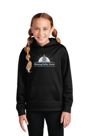Youth Hoodie
